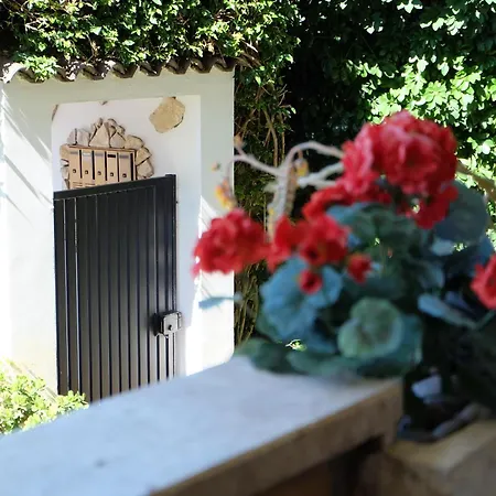 Garden - Two-bedroom - Airport - Self Check-in * Fiumicino